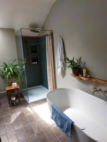 a bathroom with a large tub and a shower at Jameswood Villa in Sandbank