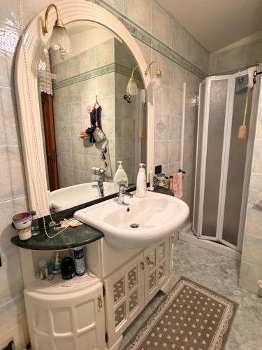 a bathroom with a sink and a mirror and a shower at B&B Is Pranus a Mari Casa Privata in Solanas
