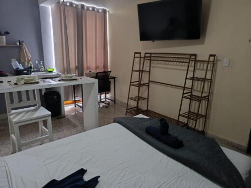 a room with a bed and a desk and a television at Jayua Suites & Habitaciones in Córdoba