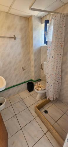a bathroom with a shower and a toilet in it at Sky Eye Studios in Kokkini Khanion