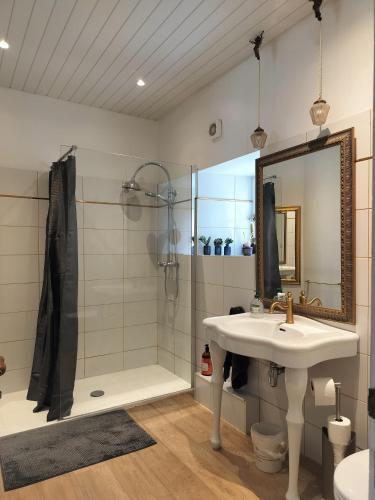 a bathroom with a sink and a shower and a mirror at Fleur de Lys - Free wi-fi & parking in La Haye