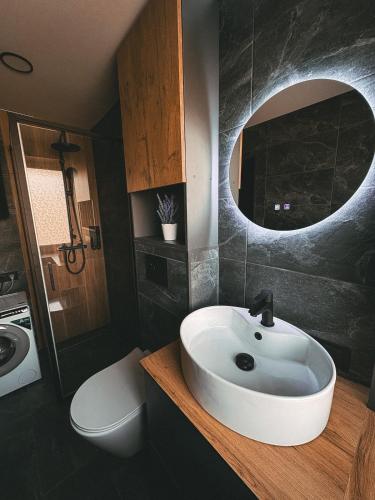 a bathroom with a sink and a toilet and a mirror at Skersgatvio Apartmentai in Zarasai