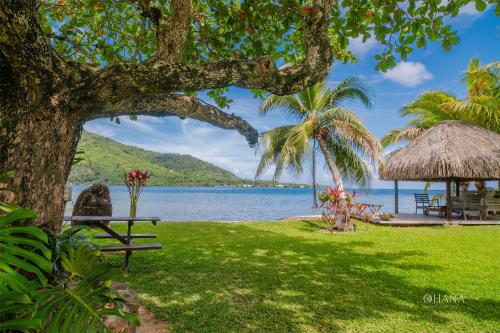 a park with a bench and a tree and the water at Villa Ohana - 4BR Beachfront Villa in Paopao