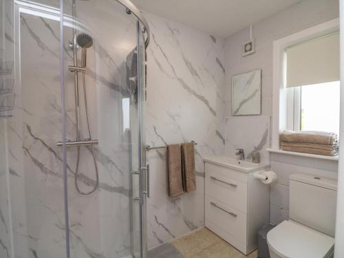 a bathroom with a shower and a toilet and a sink at Radharc an Hook Estuary Bliss in Duncannon