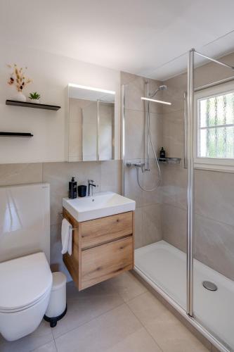 a bathroom with a shower and a toilet and a sink at Trois Lacs Suites in Erlach