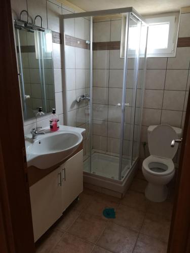 a bathroom with a shower and a sink and a toilet at Villa Trifylli in Mesimvría