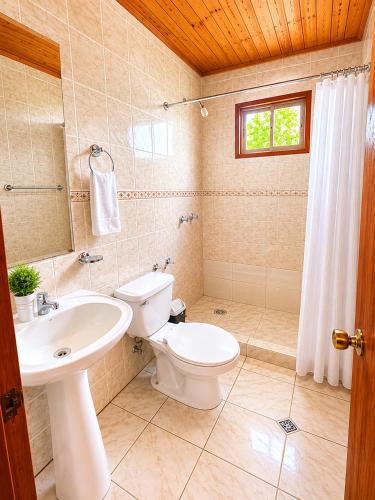 a bathroom with a toilet and a sink at Turismo La Isla in Salto del Laja