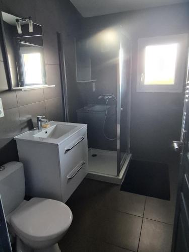 a bathroom with a toilet and a sink and a shower at Comfortable apartment with mountain views in Ghisonaccia