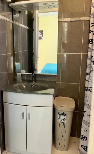 a bathroom with a sink and a mirror at Le Touloulou , vue mer et jardin tropical in Le Lorrain