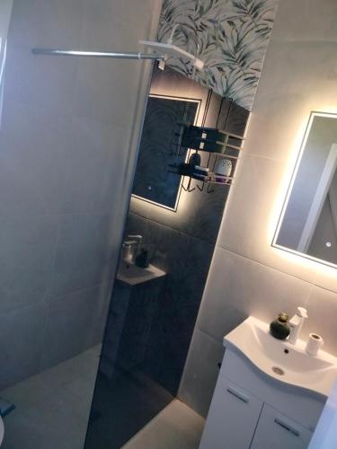 a bathroom with a shower and a sink at Green Nest in Laktaši