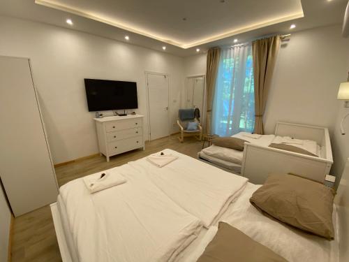 a hotel room with two beds and a television at Arany Toboz Vendégház in Siófok