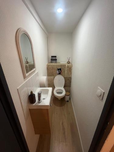 a small bathroom with a toilet and a sink at Le Grand Stanislas in Nancy