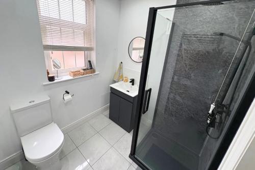 a bathroom with a shower and a toilet and a sink at Charming Lisburn Flat with private parking in Lisburn