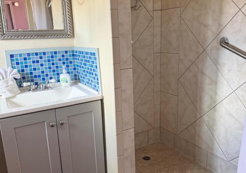 a bathroom with a sink and a shower at Harmony Motel in Twentynine Palms