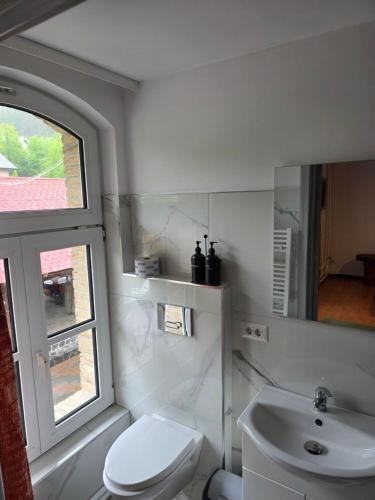 a bathroom with a white toilet and a sink at Happy Family in Suceviţa