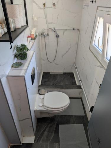 a small bathroom with a toilet and a shower at Balatonfenyvesparti kisház in Balatonfenyves