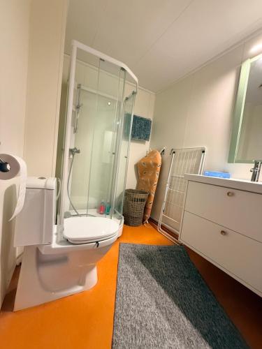 a bathroom with a shower and a toilet and a sink at KB - Waterfront Villa Sørvågen in Moskenes