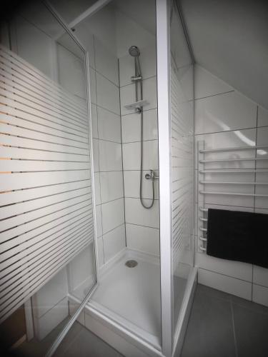 a white shower with a glass door in a bathroom at Ferienwohnung Weyer in Villmar
