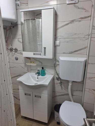 a bathroom with a sink and a toilet and a mirror at Apartman ISKRA in Mataruška Banja