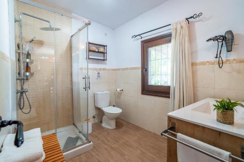 a bathroom with a shower and a toilet and a sink at La Encina in Lanjarón