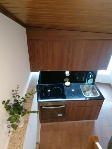a small kitchen with a stove and a sink at Casa dos Ramos in Rio de Fornos