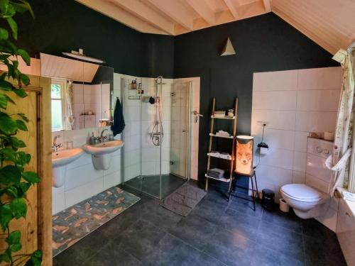 a bathroom with a shower and a toilet and a sink at De Grote Belt in Oene