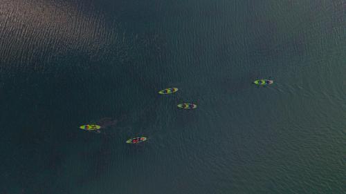 a group of five boats in the water at Sentio Camps - All Inclusive in Cabra Corral