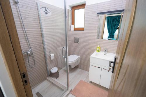 a bathroom with a shower and a toilet and a sink at Casa Ursuleasa in Ciumîrna