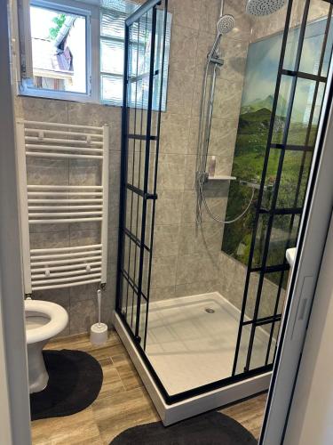 a bathroom with a shower and a toilet at Casa Andora Brașov in Braşov