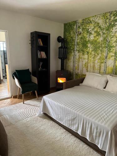 a bedroom with a bed and a chair and a fireplace at Casa Andora Brașov in Braşov