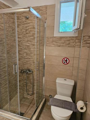 a bathroom with a toilet and a glass shower at Iliokalli Apartment in Nea Peramos