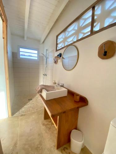 a bathroom with a sink and a mirror at Charmant Bungalow Independant in Grand-Bourg
