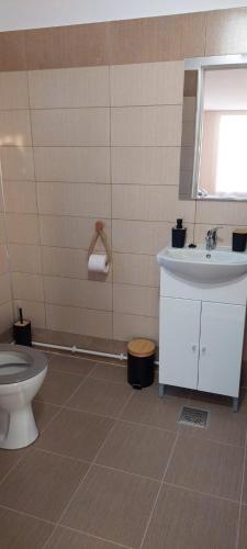 a bathroom with a toilet and a sink at Greengold in Săcădat