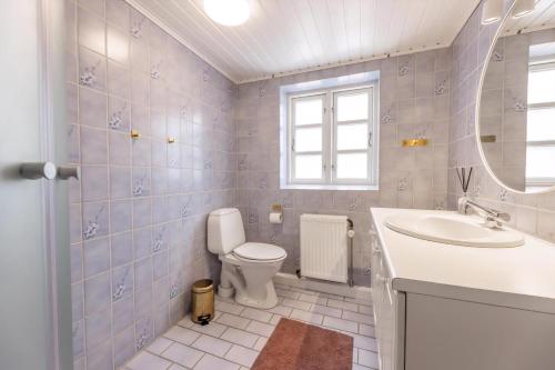 a bathroom with a toilet and a sink and a mirror at Kalvestalden - A Cozy Holiday Home in Hjørring
