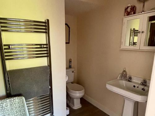 a bathroom with a toilet and a sink at The Old Gate House Annexe in Alford