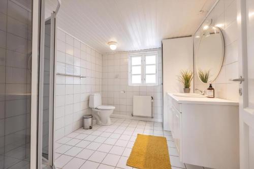 a bathroom with a toilet and a sink and a mirror at Kostalden A Cozy Setting For Family Time in Hjørring