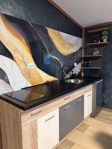 a kitchen with a sink and a painting on the wall at Diamona apartment lux sa pogledom na bazen in Donja Toponica