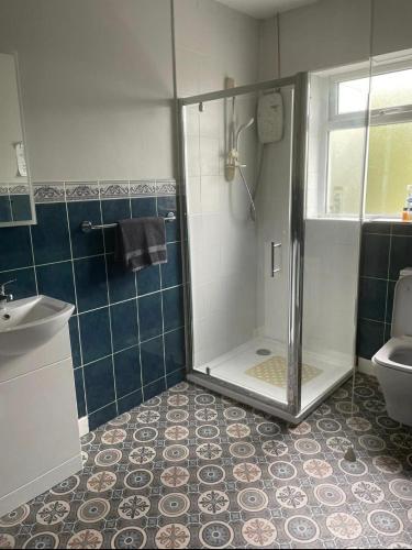 a bathroom with a shower with a sink and a toilet at 7 Main st in Camlough