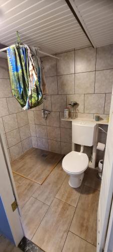 a small bathroom with a toilet and a shower at Tiny house im Wingster Forst in Wingst