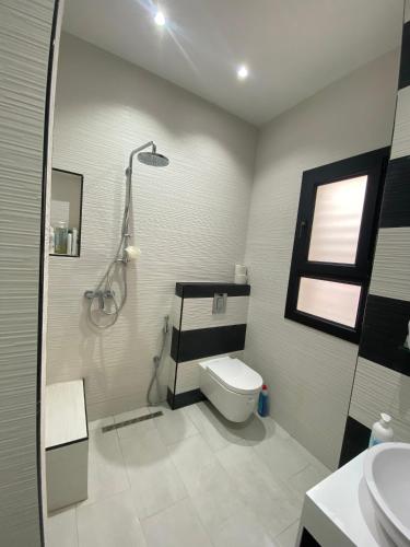 a bathroom with a shower and a toilet and a sink at Résidence Mariem Tantana in Akouda