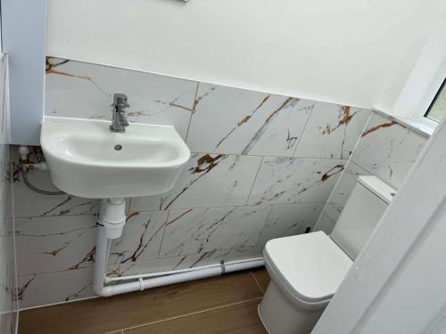 a bathroom with a sink and a toilet at Fatjon Propeties in Drayton
