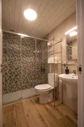 a bathroom with a toilet and a shower and a sink at Casa con parra de uva y paz in Grou
