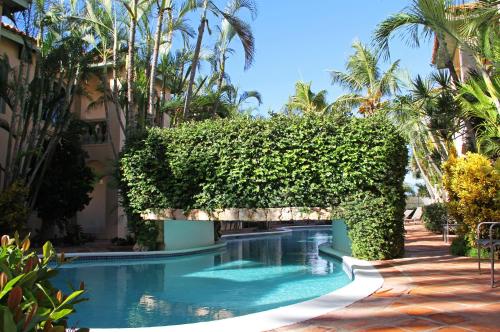 a hedge around a swimming pool in a resort at Wacamaya in Palm-Eagle Beach
