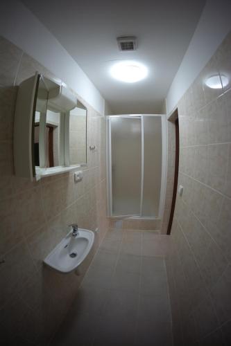 a bathroom with a sink and a shower at Penzion Černý mlýn in Březová