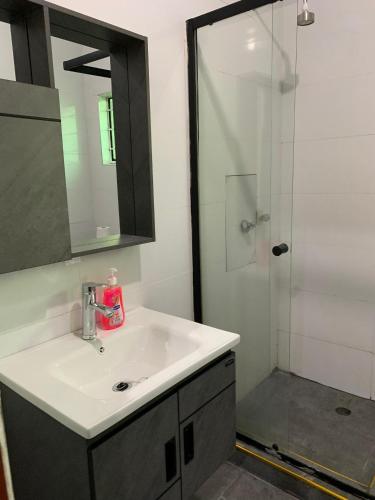 a bathroom with a sink and a shower at Nana Kay's apartment in Livingstone