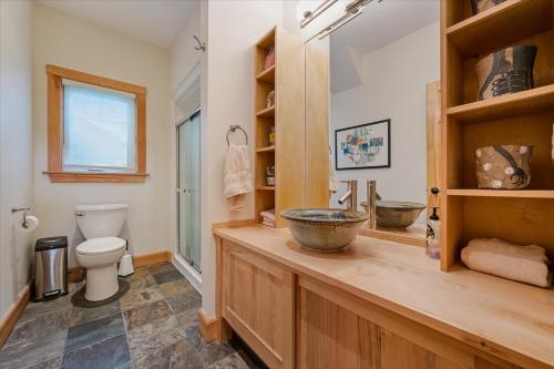 a bathroom with a counter with a toilet and a sink at Topaz Beach Cottage AC Waterview in Wiarton