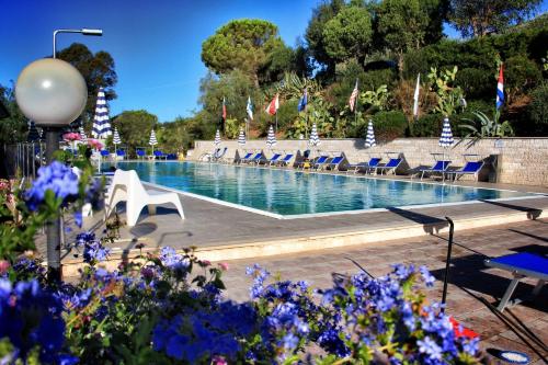 - une piscine avec des chaises bleues et des fleurs violettes dans l'établissement Hotel Villa Giulia, à Porto Azzurro