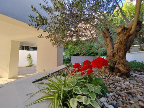 Villa Maboka