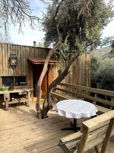 a wooden deck with a bench and a tree at Santuario Lodge Arrayan in Lo Barnechea