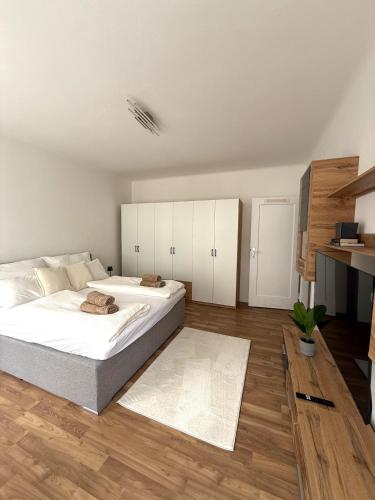 New apartment in the city center